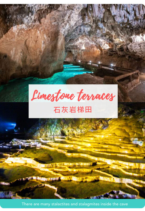 Fukuoka Akiyoshido Cave & Motonosumi Shrine Full-Day Tour - Who should book this Fukuoka day trip