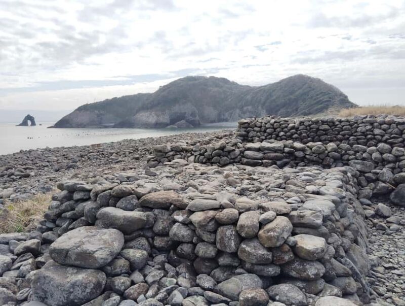 Fukuoka: Cats Island, Ainoshima Guided Tour from Hakata - Key Points