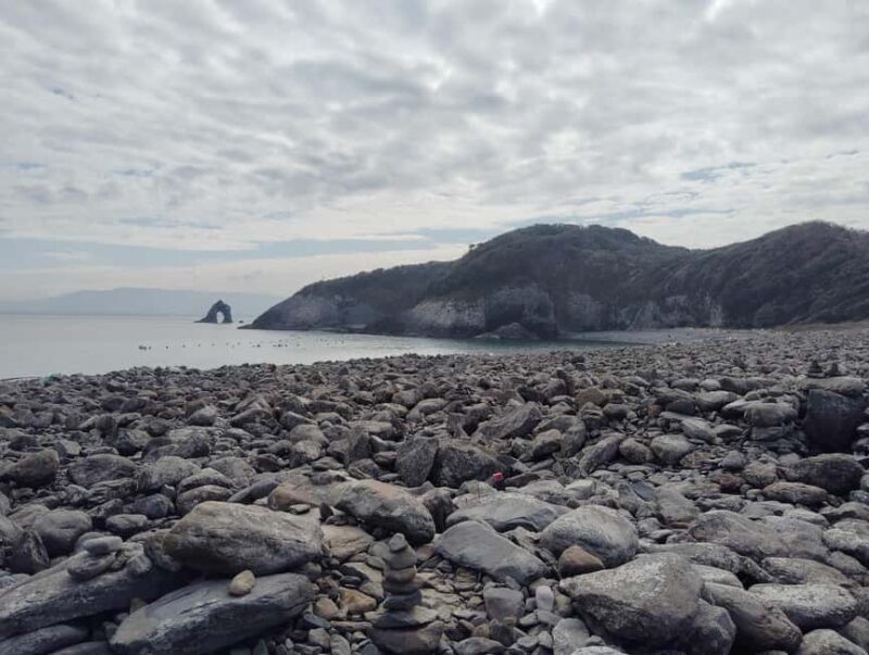 Fukuoka: Cats Island, Ainoshima Guided Tour from Hakata - Who Would Love This Tour?