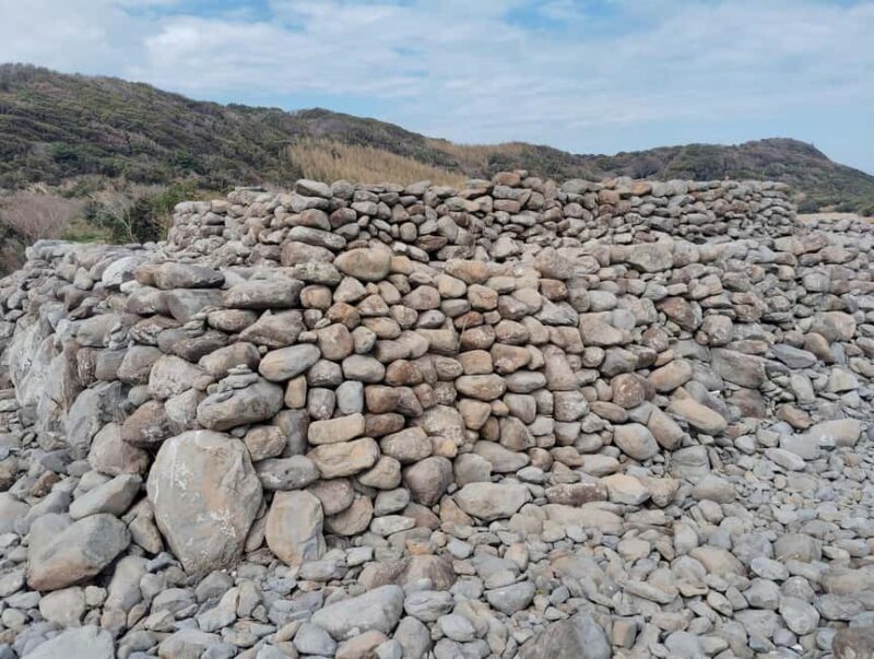 Fukuoka: Cats Island, Ainoshima Guided Tour from Hakata - Final Thoughts