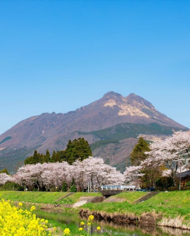 Fukuoka Chartered Day Tour | Chinese Driver and Guide, 10-Hour Private Transfer | Multiple Routes Available or Customizable in Fukuoka/Nagasaki/Oita/Kumamoto/Takachiho - A private car makes a packed day easier