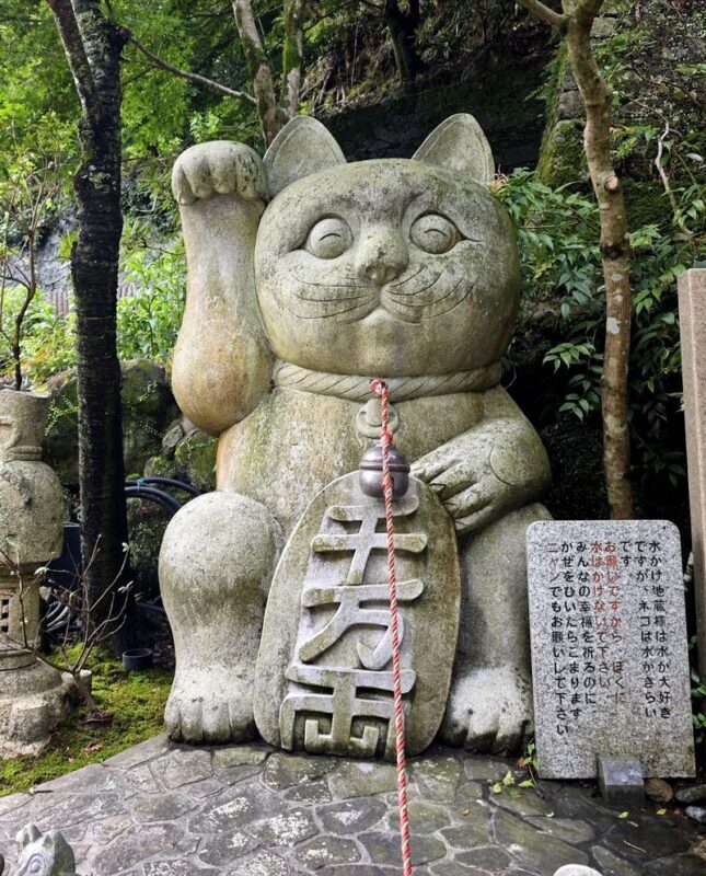 Fukuoka Chartered Day Tour | Chinese Driver and Guide, 10-Hour Private Transfer | Multiple Routes Available or Customizable in Fukuoka/Nagasaki/Oita/Kumamoto/Takachiho - Nanzoin and Dazaifu bring the day into focus