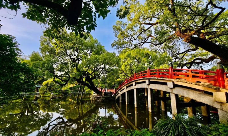 Fukuoka Chartered Day Tour | Chinese Driver and Guide, 10-Hour Private Transfer | Multiple Routes Available or Customizable in Fukuoka/Nagasaki/Oita/Kumamoto/Takachiho - Four longer routes reach beyond Fukuoka
