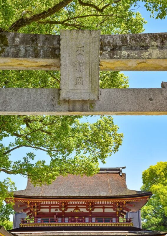 Fukuoka Chartered Day Tour | Chinese Driver and Guide, 10-Hour Private Transfer | Multiple Routes Available or Customizable in Fukuoka/Nagasaki/Oita/Kumamoto/Takachiho - What the price covers, and what it does not