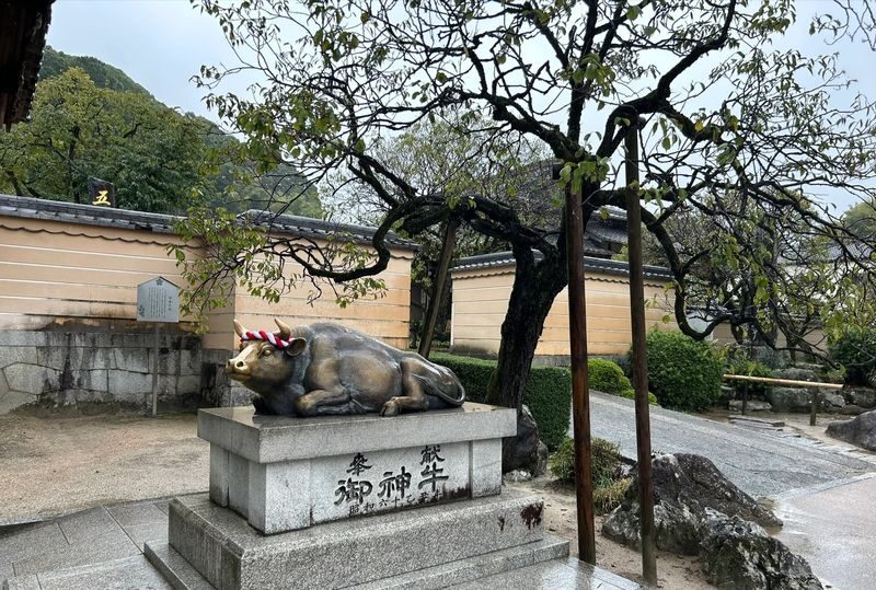 Fukuoka Chartered Day Tour | Chinese Driver and Guide, 10-Hour Private Transfer | Multiple Routes Available or Customizable in Fukuoka/Nagasaki/Oita/Kumamoto/Takachiho - The group flexibility is a real advantage