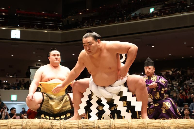 Fukuoka City, Kyushu Grand Sumo Tournament Viewing Tour - What to know before you book