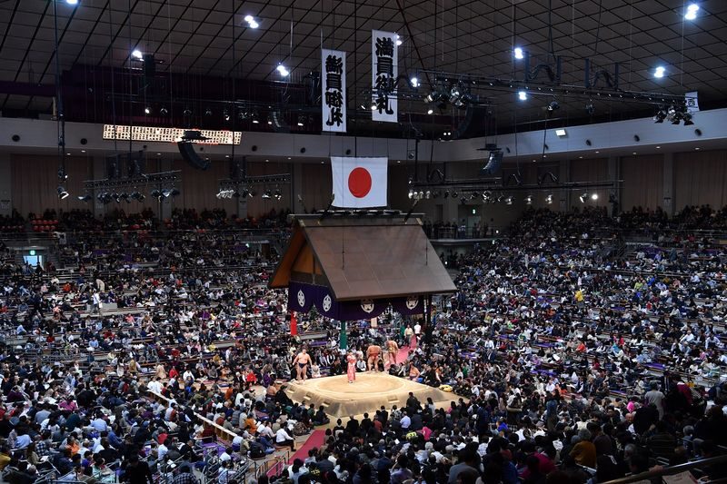 Fukuoka City, Kyushu Grand Sumo Tournament Viewing Tour - What the guide and souvenirs add