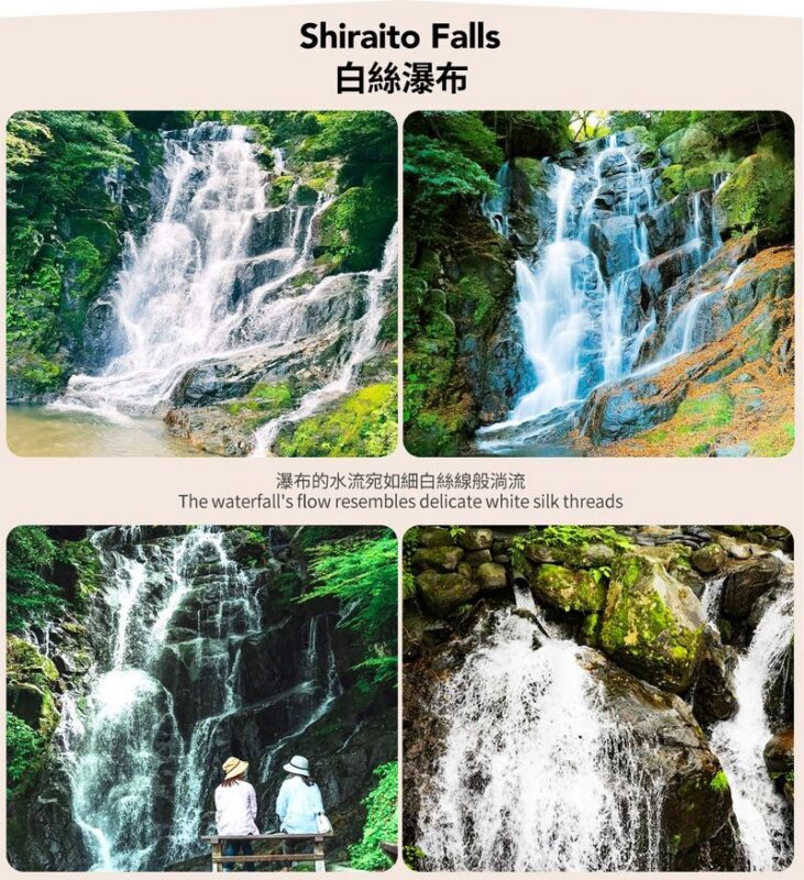Fukuoka Coast: 6 Major Attractions Day Trip, Experience Romantic Swings - From Fukuoka to Itoshima in one day