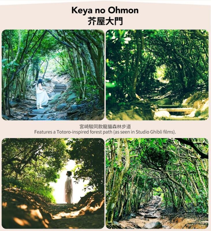 Fukuoka Coast: 6 Major Attractions Day Trip, Experience Romantic Swings - Raizan Senjoji Temple: a quieter cultural stop