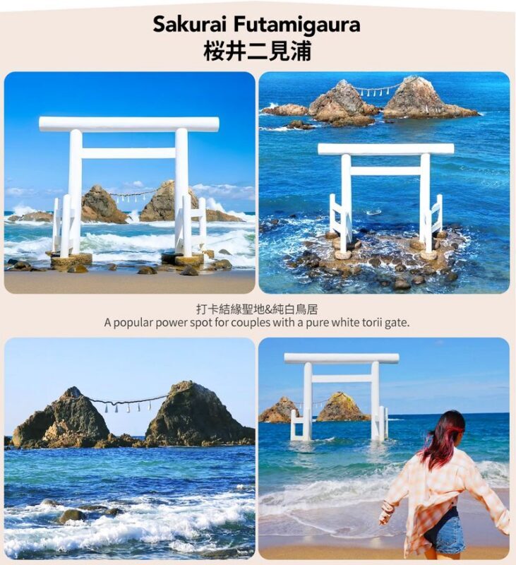 Fukuoka Coast: 6 Major Attractions Day Trip, Experience Romantic Swings - Ichiran Forest: confirm what is included