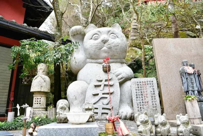 Fukuoka Cultural Walk: Castle, Shrines, Temples & Tales - Why This Tour Is a Great Choice