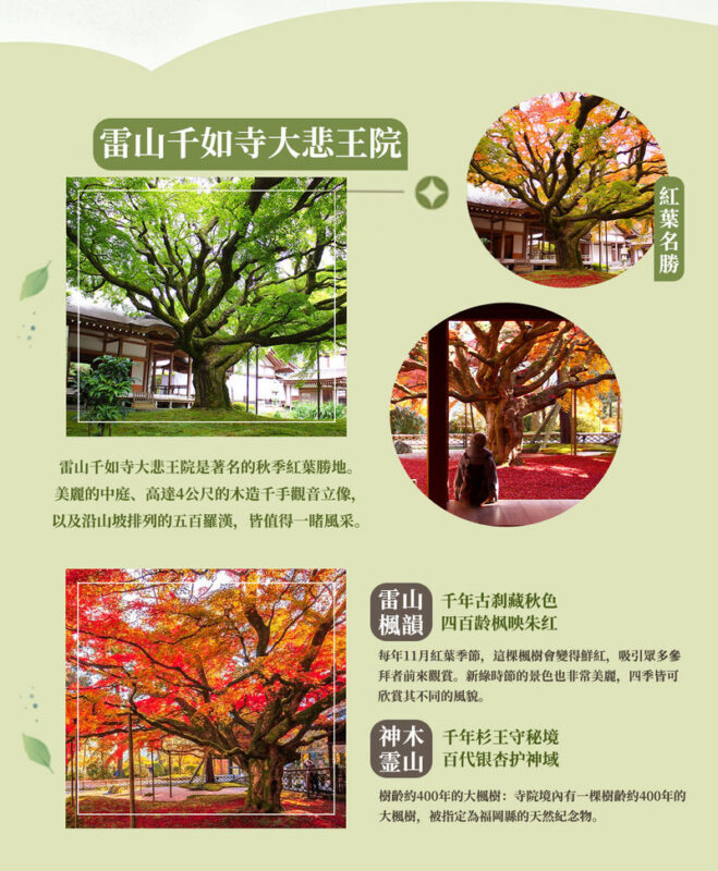 Fukuoka Day Trip: Shiraito Falls, Meoto Iwa, and Totoro Forest - Coconut Tree Swing and Meoto Iwa: the coastal photo stops