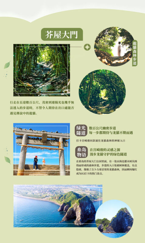 Fukuoka Day Trip: Shiraito Falls, Meoto Iwa, and Totoro Forest - Fukuoka Tower: a city view before the return