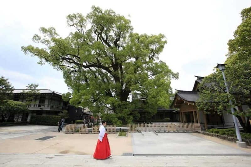 Fukuoka: Dazaifu Tenmangu 2-hour Guided Tour - A Closer Look at the Dazaifu Tenmangu Guided Tour