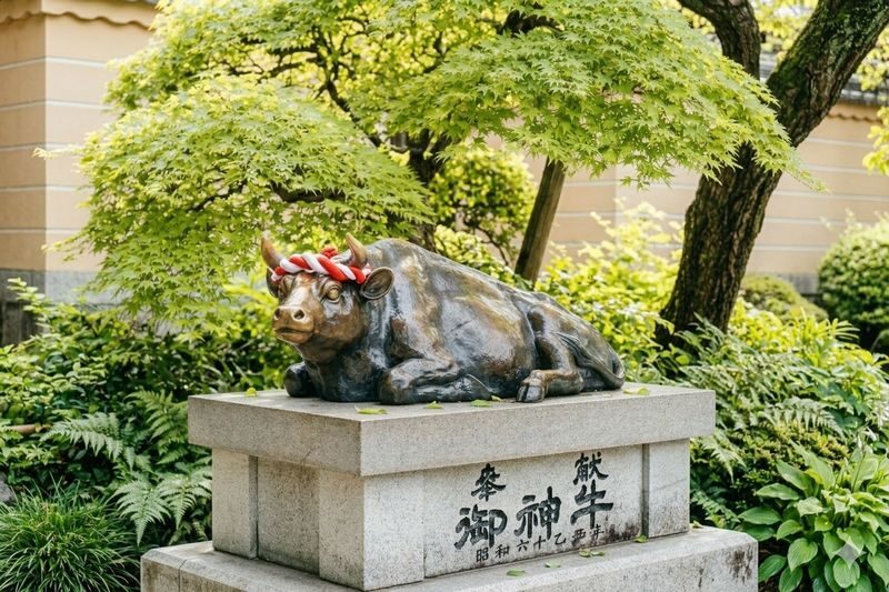 Fukuoka Dazaifu Tenmangu & Arita Pottery Festival Day Tour - What the guides can add