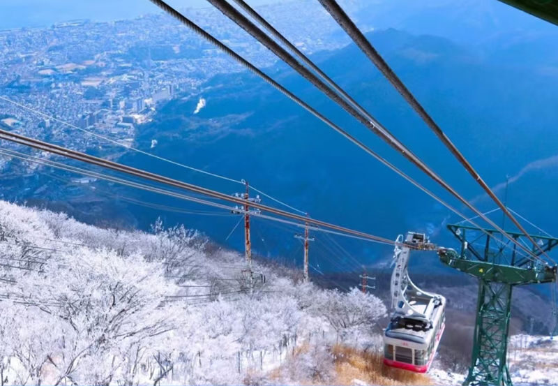 Fukuoka Dazaifu Tenmangu & Yufuin Full-Day Experience - Who should choose this experience?