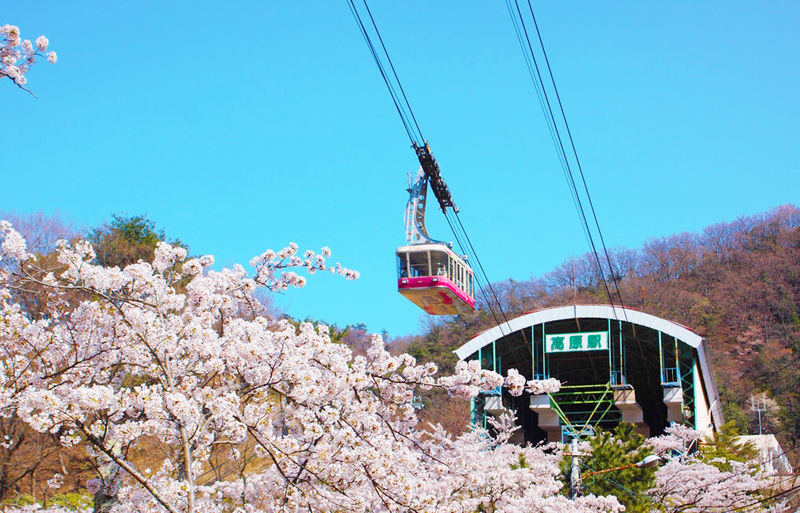 Fukuoka Dazaifu Tenmangu & Yufuin Full-Day Tour - What the guide adds to the day