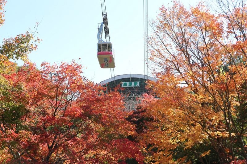 Fukuoka Dazaifu Tenmangu & Yufuin Full-Day Tour - Is $63.09 good value?