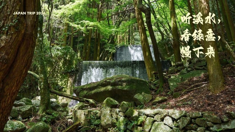 Fukuoka Dazaifu & Tosu Premium Outlets Private Day Tour - Booking details worth checking