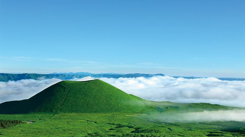 (Fukuoka Departure) Kumamoto Private Car Charter Day Tour | Kumamoto Castle, Suizenji Jojuen Garden, Kumamoto Bear Square, Mount Aso, Kusasenri, Kamishikimi Kumanoza Shrine, Aso Shrine, Shirakawa Suigen, Daikanbo | Private Customized Tour - Private transport makes Aso possible from Fukuoka