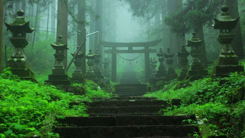 (Fukuoka Departure) Kumamoto Private Car Charter Day Tour | Kumamoto Castle, Suizenji Jojuen Garden, Kumamoto Bear Square, Mount Aso, Kusasenri, Kamishikimi Kumanoza Shrine, Aso Shrine, Shirakawa Suigen, Daikanbo | Private Customized Tour - Mount Aso, Kusasenri, and Daikanbo