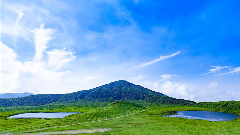 (Fukuoka Departure) Kumamoto Private Car Charter Day Tour | Kumamoto Castle, Suizenji Jojuen Garden, Kumamoto Bear Square, Mount Aso, Kusasenri, Kamishikimi Kumanoza Shrine, Aso Shrine, Shirakawa Suigen, Daikanbo | Private Customized Tour - Shrines and spring water for a slower stop