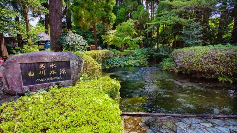 (Fukuoka Departure) Kumamoto Private Car Charter Day Tour | Kumamoto Castle, Suizenji Jojuen Garden, Kumamoto Bear Square, Mount Aso, Kusasenri, Kamishikimi Kumanoza Shrine, Aso Shrine, Shirakawa Suigen, Daikanbo | Private Customized Tour - Price, extra costs, and the real value