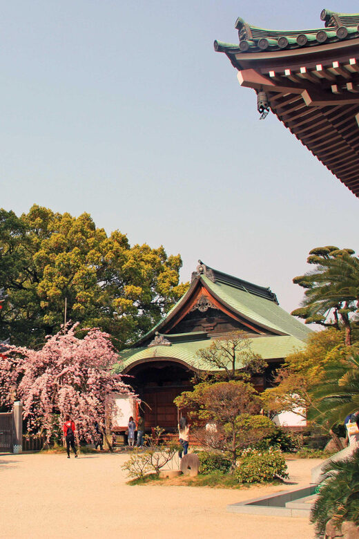 Fukuoka Essentials: History, Culture, & Charms - Who Should Consider This Tour?