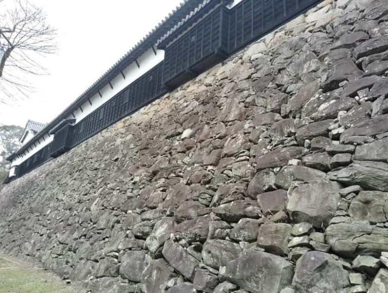 Fukuoka: Fukuoka Castle and Ohori Park Guided Tour - The Sum Up: Who Should Consider This Tour?