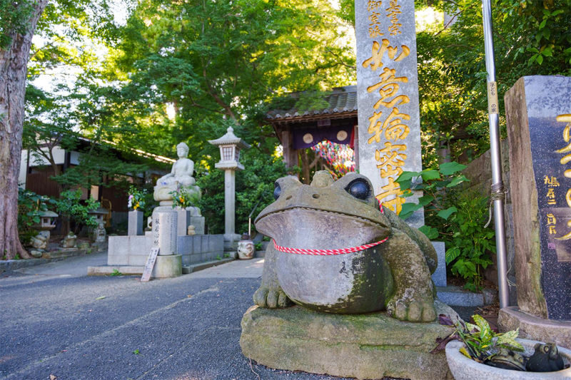 Fukuoka Full-Day Dazaifu, Yanagawa Boating & Outlets Tour - Is $44.25 good value?