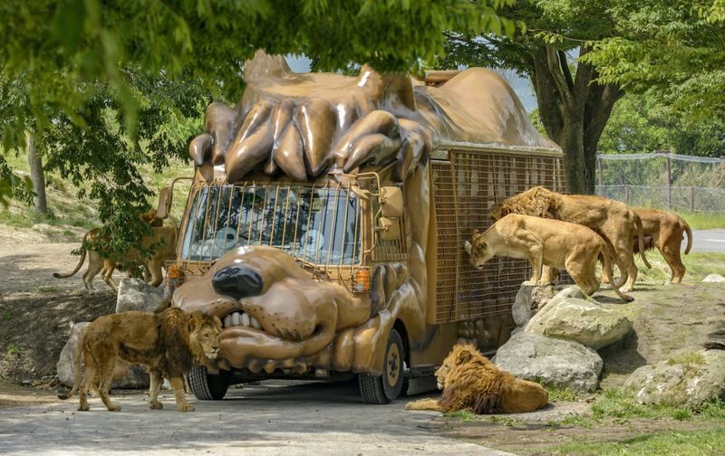 Fukuoka Full-Day Kyushu Natural Animal Park & Kinrin Lake Tour - At a glance