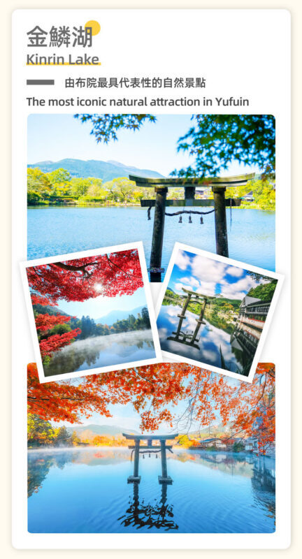 Fukuoka Full-Day Kyushu Natural Animal Park & Kinrin Lake Tour - Guides and language: the human part of the day