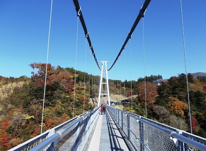 Fukuoka Full-Day Private Chartered Tour - The driver can make the day easier