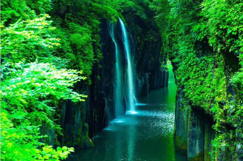 Fukuoka Full-Day Private Chartered Tour - Should you book the Fukuoka private charter?