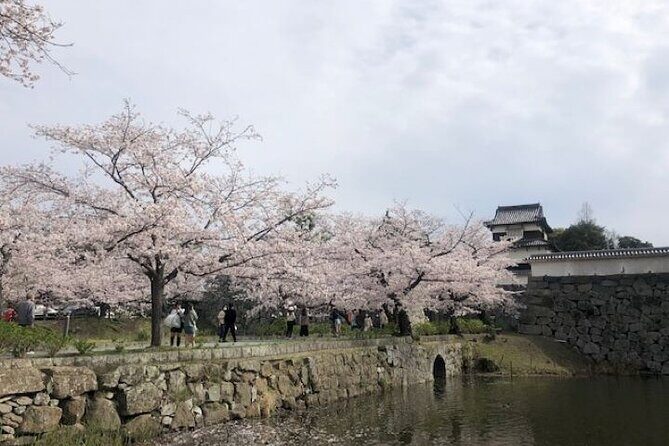 FUKUOKA Hakata Half Day Shared Tour ~Sightseeing with Coffee~ - Key Points
