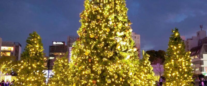 Fukuoka: Hakata & Tenjin Christmas Markets Walking Tour - Final Thoughts: Is This Tour Worth It?