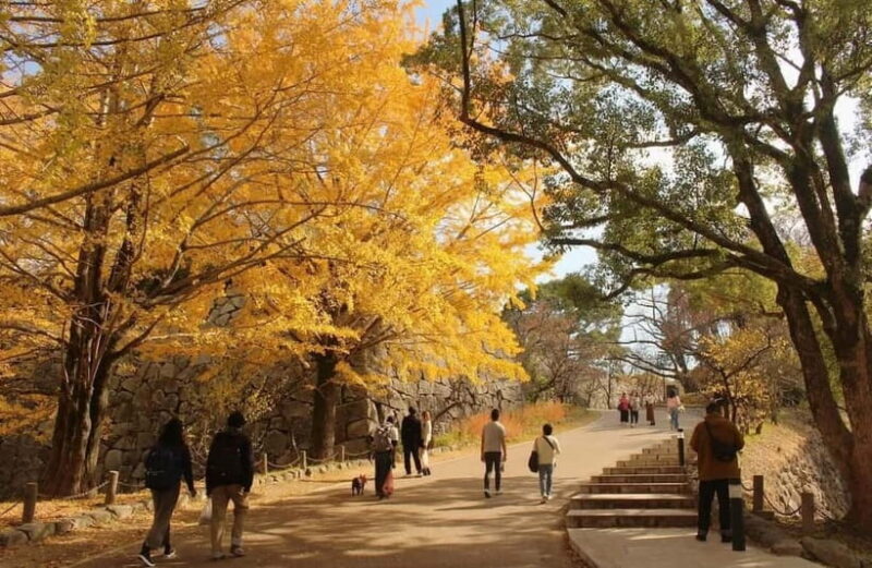 Fukuoka: Hidden History of Zen, Castles & Rebellion Tour - The Practicalities: What’s Included and What to Know