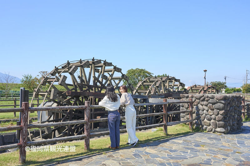Fukuoka Iconic Cherry Blossom Spots Full-Day Tour - A full day shaped around cherry blossoms