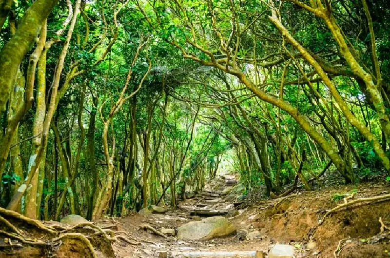 Fukuoka Itoshima Coast & Raizan Sennyoji Temple Day Trip - Who should book this Itoshima day trip?