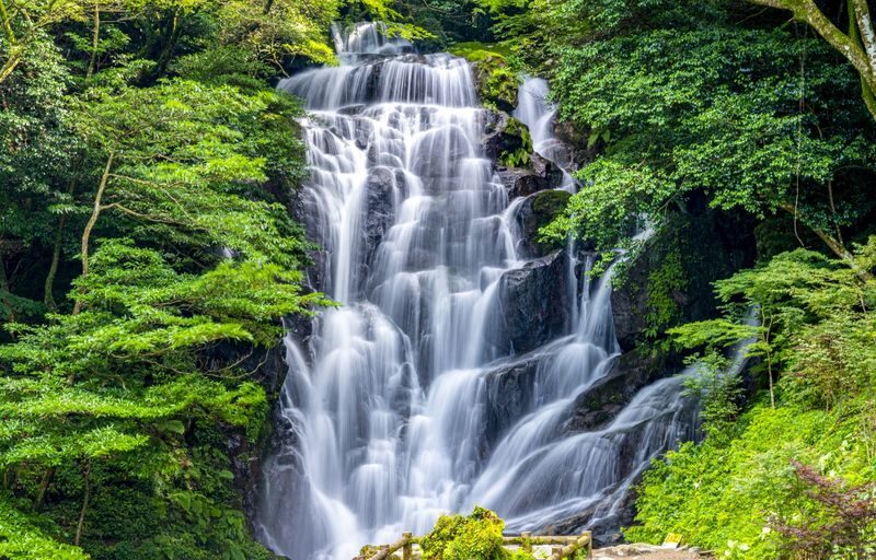 Fukuoka Itoshima Day Trip, Japan | Shiraito Falls, Ichiran Forest, Totoro Forest, and Instagram-worthy Spots (Chinese/English/Cantonese Guide) - What the $44.20 starting price buys you