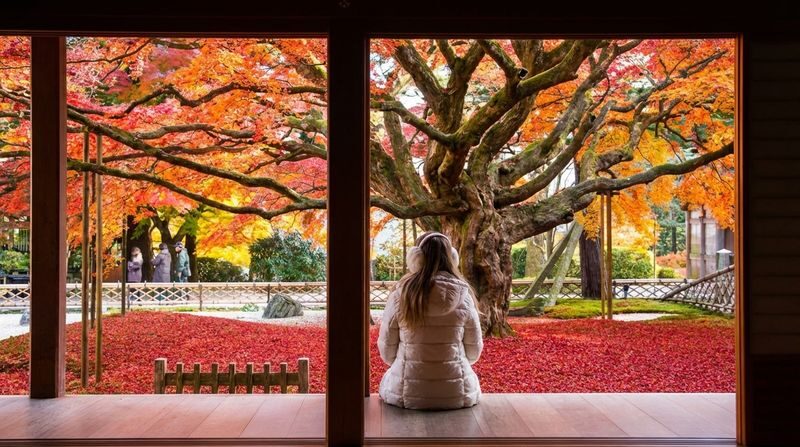 Fukuoka Itoshima Full-Day Hidden Gems & Food Tour - What makes this Itoshima day trip worth considering