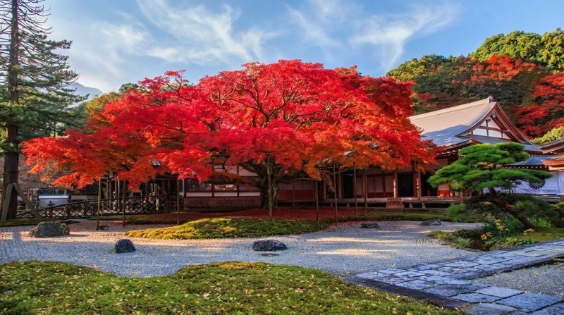Fukuoka Itoshima Full-Day Hidden Gems & Food Tour - A full schedule, with weather and comfort in mind