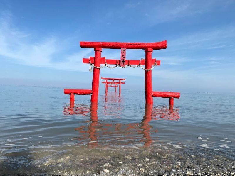 Fukuoka Kanzakibana & Saga Castle Full-Day Tour with Visit Certificate - Guides make the road time count