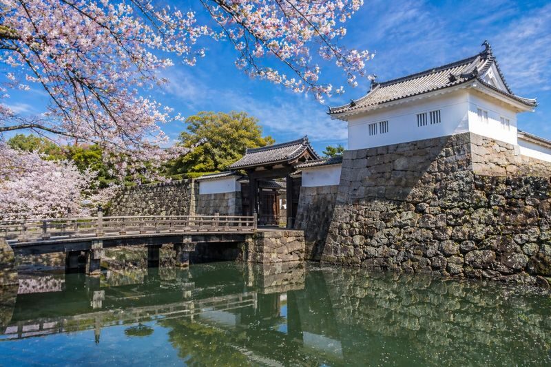 Fukuoka Kanzakibana & Saga Castle Full-Day Tour with Visit Certificate - Booking details to check