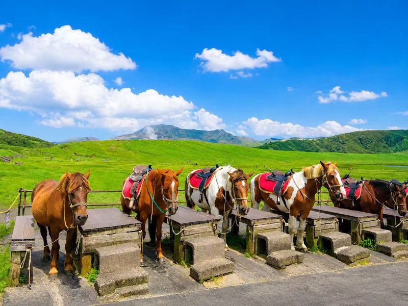 Fukuoka Kyushu Full-Day Private Charter Experience - A private ride toward Kusasenri