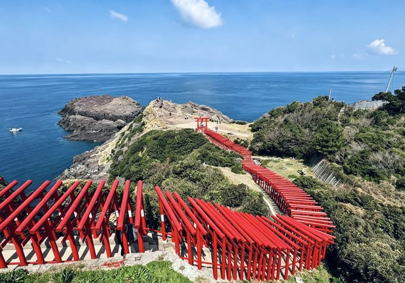 Fukuoka Kyushu Full-Day Private Charter Experience - The driver details that matter