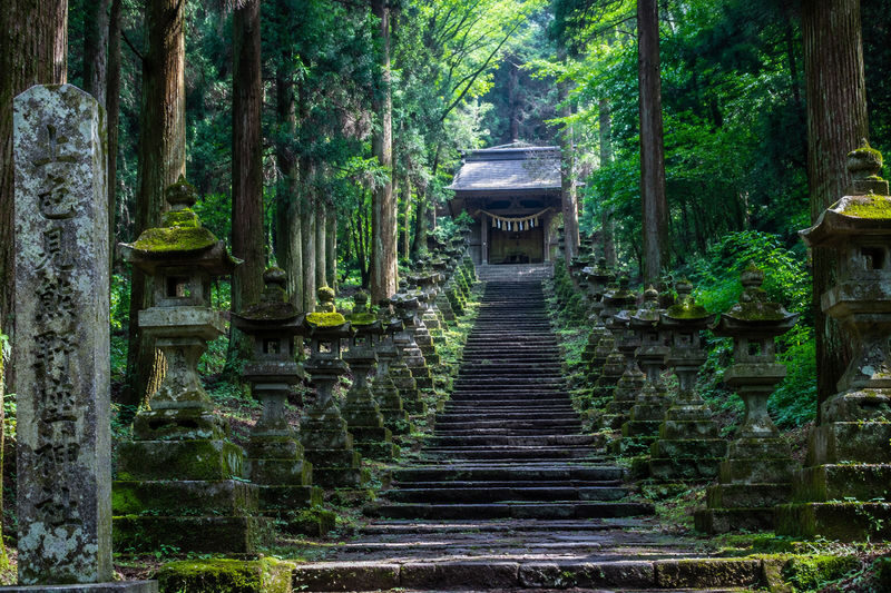 Fukuoka Kyushu Full-Day Private Charter Experience - The main planning question: what is included?