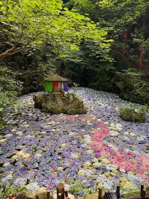 Fukuoka: Morning Serenity Guided Walking Tour - The Sum Up