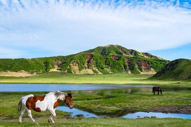 Fukuoka: Mount Aso Volcano, Kumamoto Castle, Grasslands Day Tour - In-Depth Review of the Tour Experience