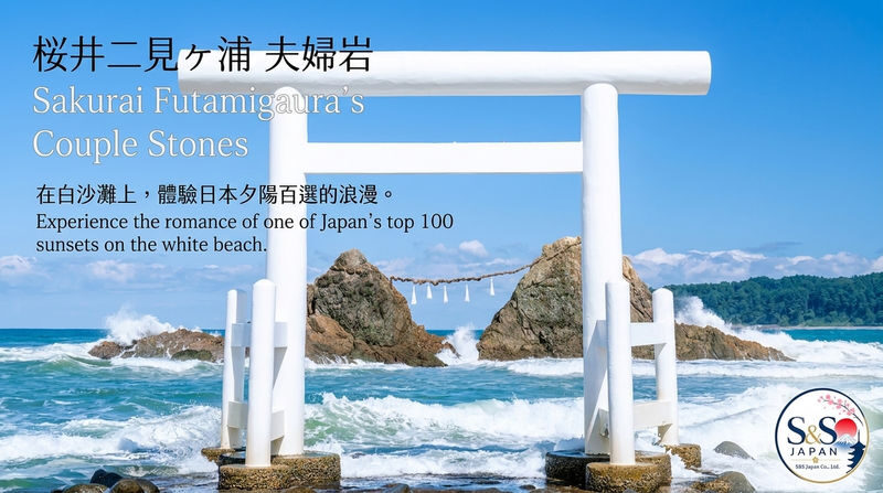 Fukuoka Nanzoin & Itoshima Coastal Full-Day Private Tour - Seafood lunch with room for appetite